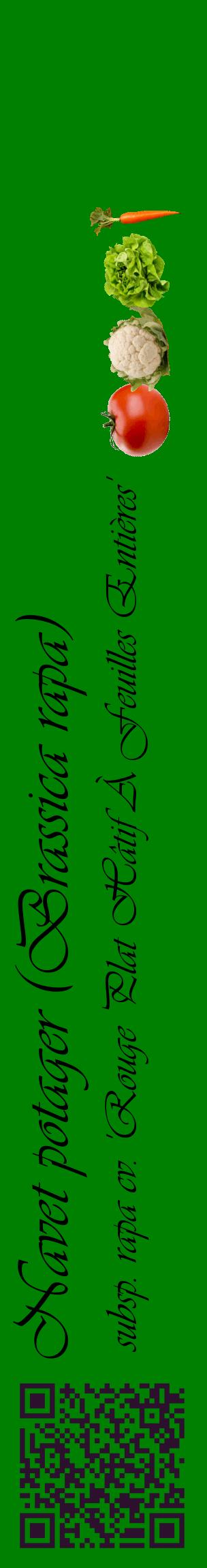 Étiquette de : Brassica rapa subsp. rapa cv. 'Rouge Plat Hâtif À Feuilles Entières' - format c - style noire9_basiqueviv avec qrcode et comestibilité simplifiée