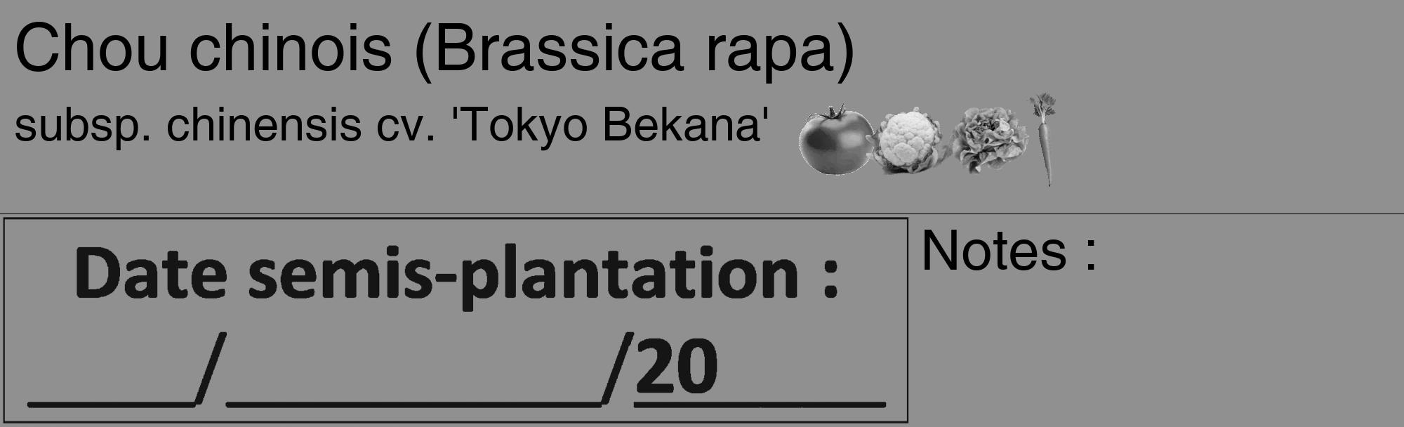 Étiquette de : Brassica rapa subsp. chinensis cv. 'Tokyo Bekana' - format c - style noire4basique_basique_basiquehel avec comestibilité simplifiée
