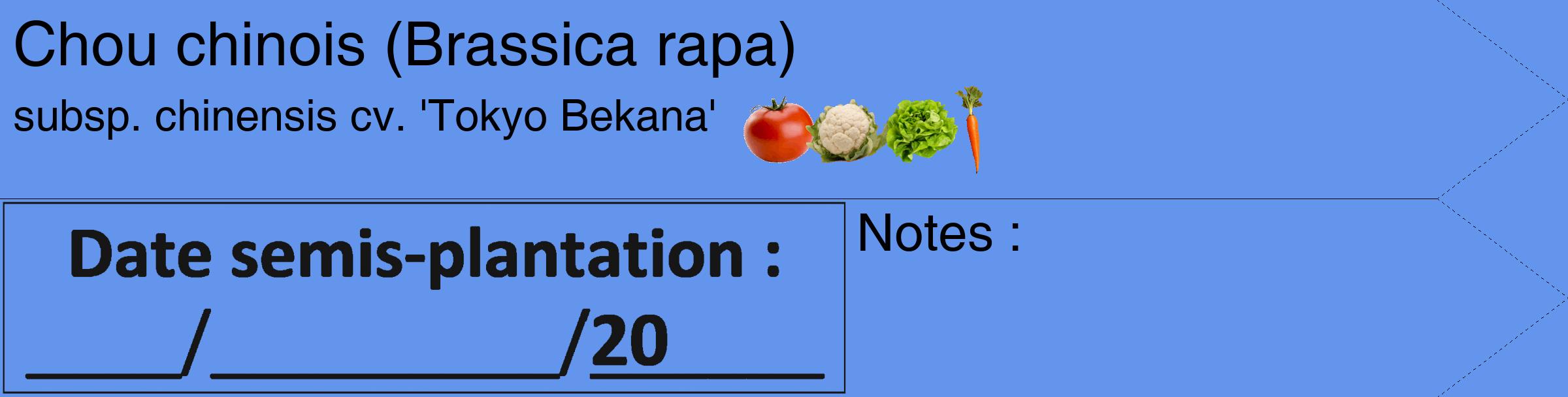 Étiquette de : Brassica rapa subsp. chinensis cv. 'Tokyo Bekana' - format c - style noire4simple_simple_simplehel avec comestibilité simplifiée