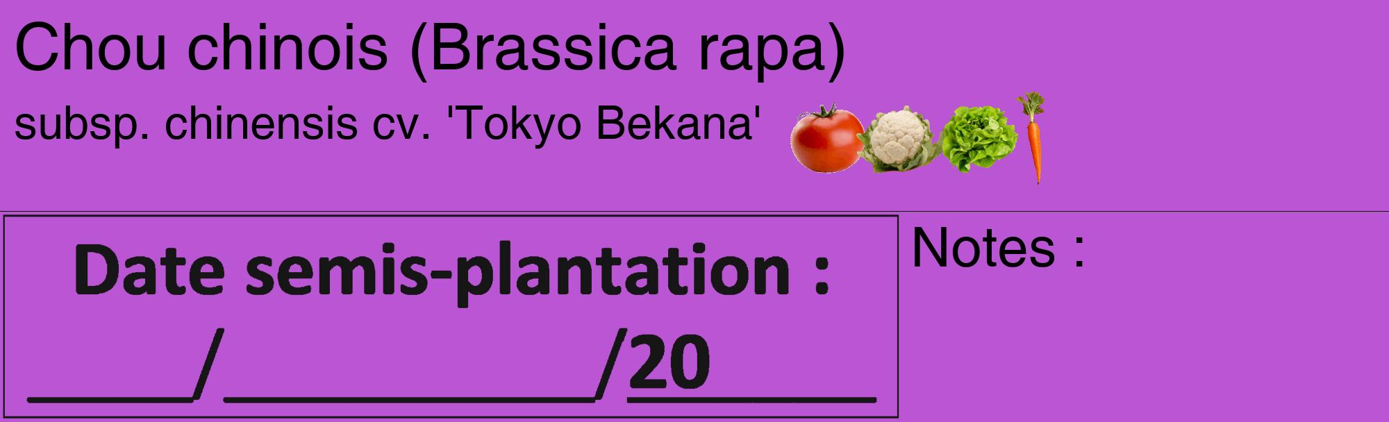 Étiquette de : Brassica rapa subsp. chinensis cv. 'Tokyo Bekana' - format c - style noire50_basique_basiquehel avec comestibilité simplifiée