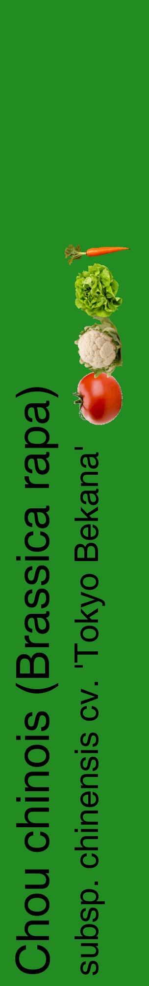 Étiquette de : Brassica rapa subsp. chinensis cv. 'Tokyo Bekana' - format c - style noire10_basiquehel avec comestibilité simplifiée