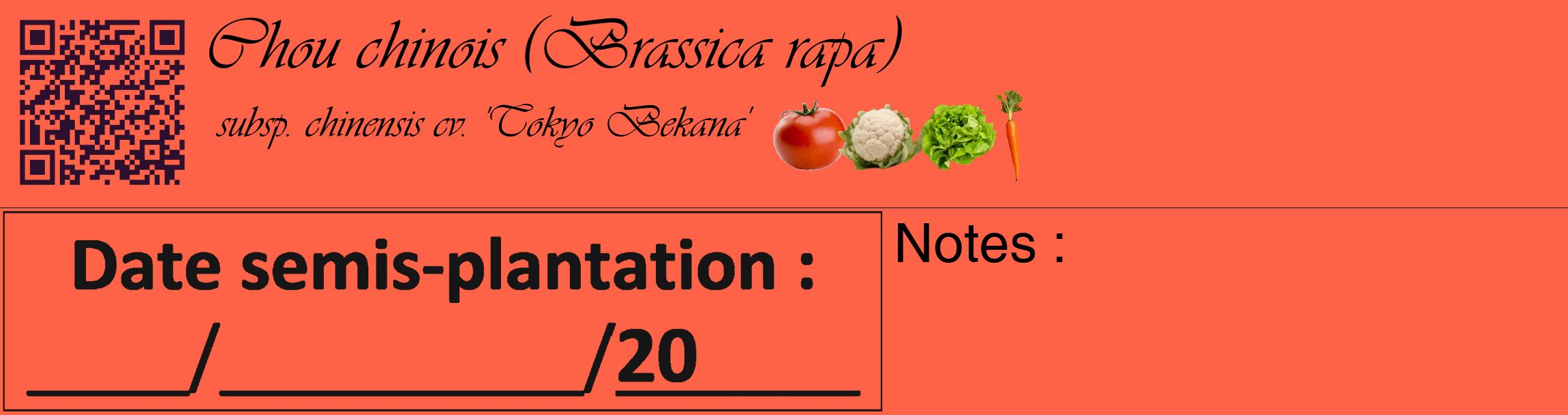 Étiquette de : Brassica rapa subsp. chinensis cv. 'Tokyo Bekana' - format c - style noire25_basique_basiqueviv avec qrcode et comestibilité simplifiée