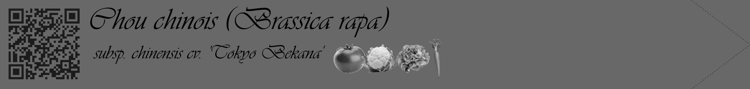 Étiquette de : Brassica rapa subsp. chinensis cv. 'Tokyo Bekana' - format c - style noire43_simple_simpleviv avec qrcode et comestibilité simplifiée