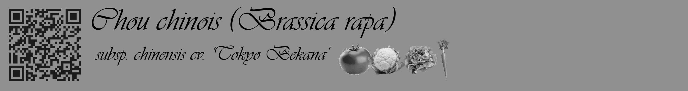 Étiquette de : Brassica rapa subsp. chinensis cv. 'Tokyo Bekana' - format c - style noire4basique_basique_basiqueviv avec qrcode et comestibilité simplifiée