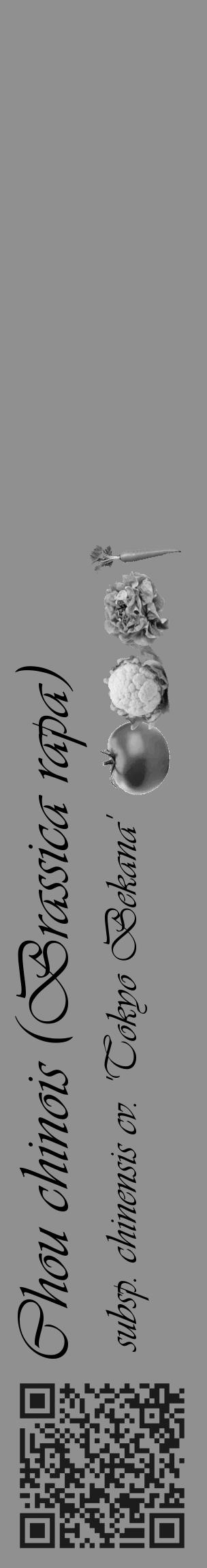 Étiquette de : Brassica rapa subsp. chinensis cv. 'Tokyo Bekana' - format c - style noire4basique_basique_basiqueviv avec qrcode et comestibilité simplifiée - position verticale
