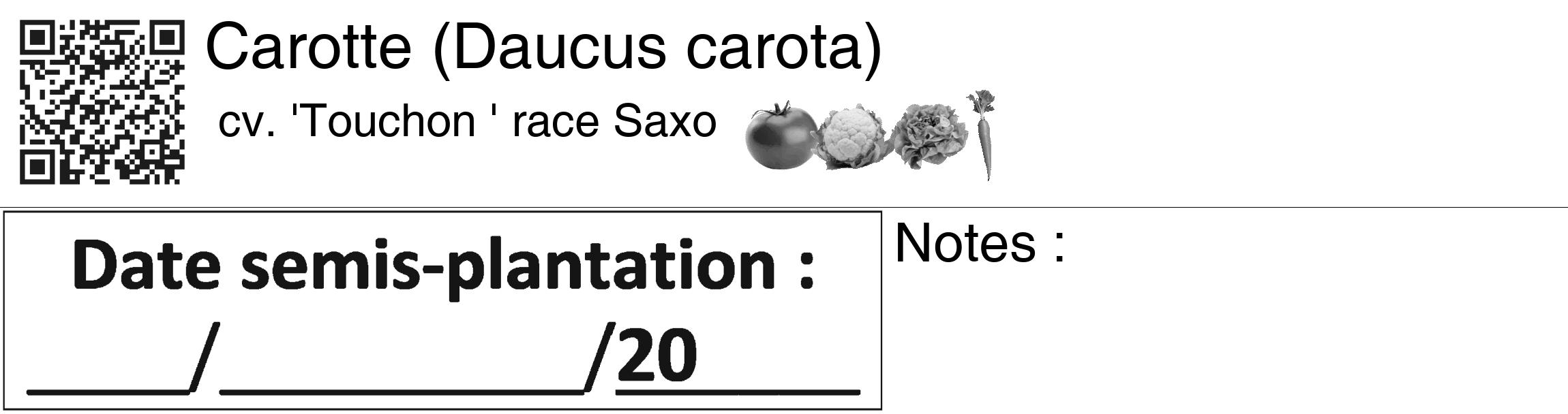 Étiquette de : Daucus carota cv. 'Touchon ' race Saxo - format c - style noire60_basiquegrrvhel avec qrcode et comestibilité simplifiée