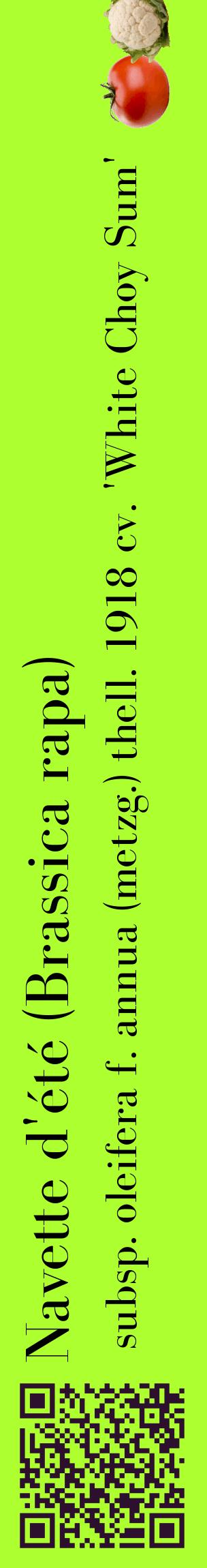 Étiquette de : Brassica rapa subsp. oleifera f. annua (metzg.) thell. 1918 cv. 'White Choy Sum' - format c - style noire17_basiquebod avec qrcode et comestibilité simplifiée
