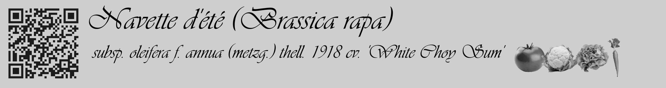 Étiquette de : Brassica rapa subsp. oleifera f. annua (metzg.) thell. 1918 cv. 'White Choy Sum' - format c - style noire17_basique_basiqueviv avec qrcode et comestibilité simplifiée
