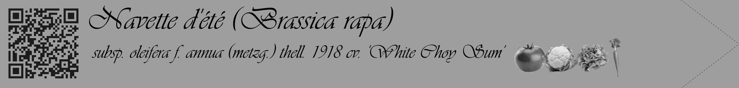 Étiquette de : Brassica rapa subsp. oleifera f. annua (metzg.) thell. 1918 cv. 'White Choy Sum' - format c - style noire42_simple_simpleviv avec qrcode et comestibilité simplifiée