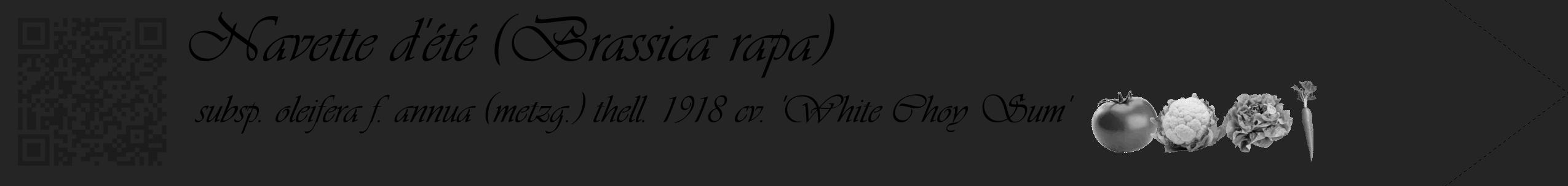 Étiquette de : Brassica rapa subsp. oleifera f. annua (metzg.) thell. 1918 cv. 'White Choy Sum' - format c - style noire47simple_basique_basiqueviv avec qrcode et comestibilité simplifiée