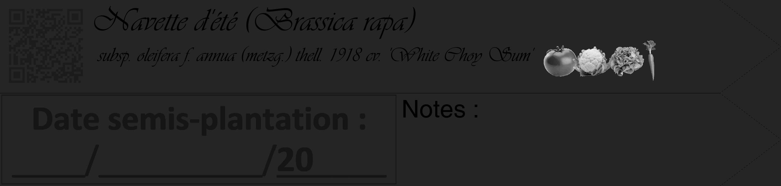 Étiquette de : Brassica rapa subsp. oleifera f. annua (metzg.) thell. 1918 cv. 'White Choy Sum' - format c - style noire47simple_basique_basiqueviv avec qrcode et comestibilité simplifiée