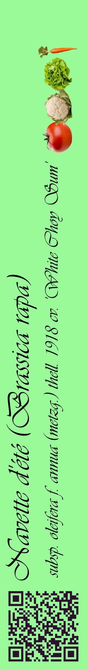 Étiquette de : Brassica rapa subsp. oleifera f. annua (metzg.) thell. 1918 cv. 'White Choy Sum' - format c - style noire14_basiqueviv avec qrcode et comestibilité simplifiée