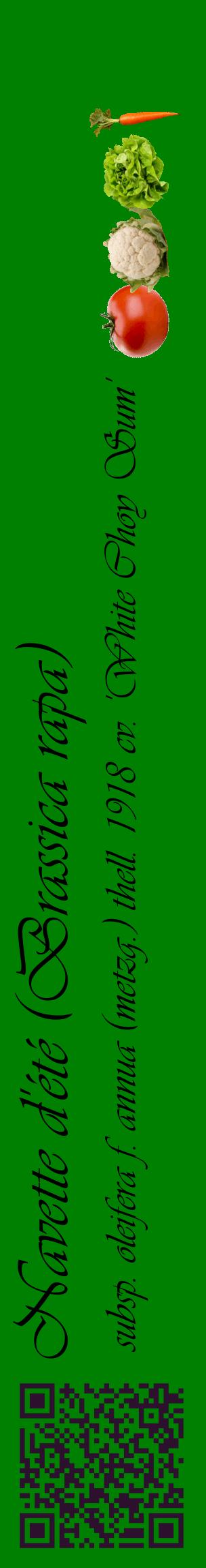 Étiquette de : Brassica rapa subsp. oleifera f. annua (metzg.) thell. 1918 cv. 'White Choy Sum' - format c - style noire9_basiqueviv avec qrcode et comestibilité simplifiée