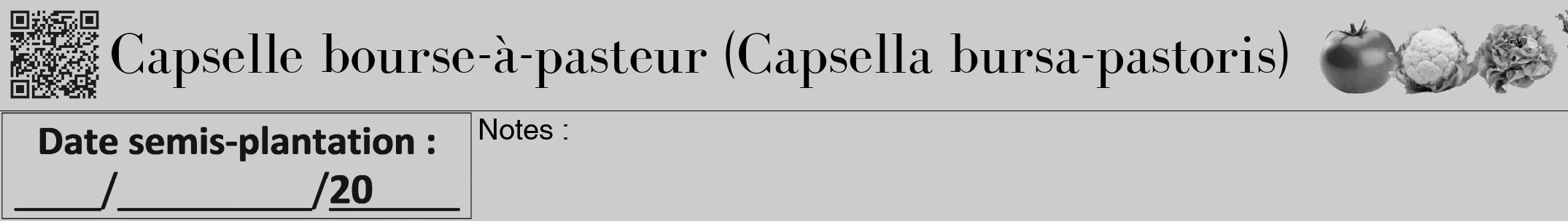 Étiquette de : Capsella bursa-pastoris - format a - style noire0bod avec qrcode et comestibilité simplifiée
