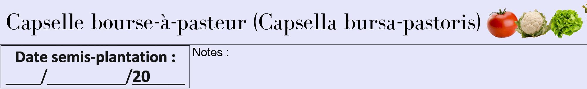 Étiquette de : Capsella bursa-pastoris - format a - style noire55bod avec comestibilité simplifiée