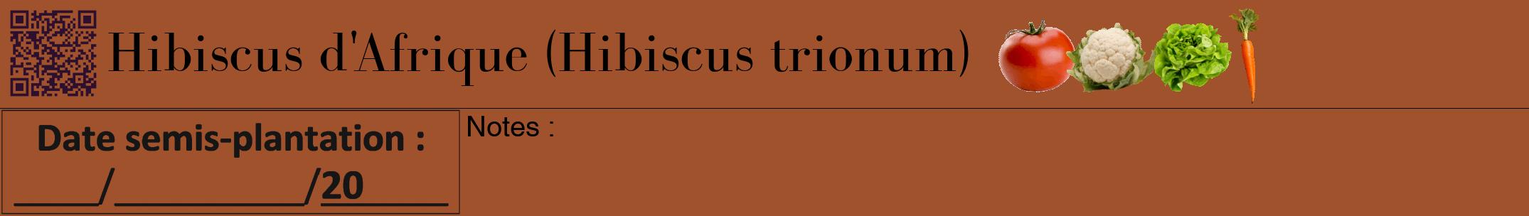 Étiquette de : Hibiscus trionum - format a - style noire32bod avec qrcode et comestibilité simplifiée