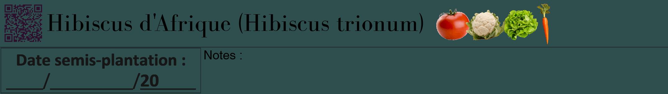 Étiquette de : Hibiscus trionum - format a - style noire58bod avec qrcode et comestibilité simplifiée