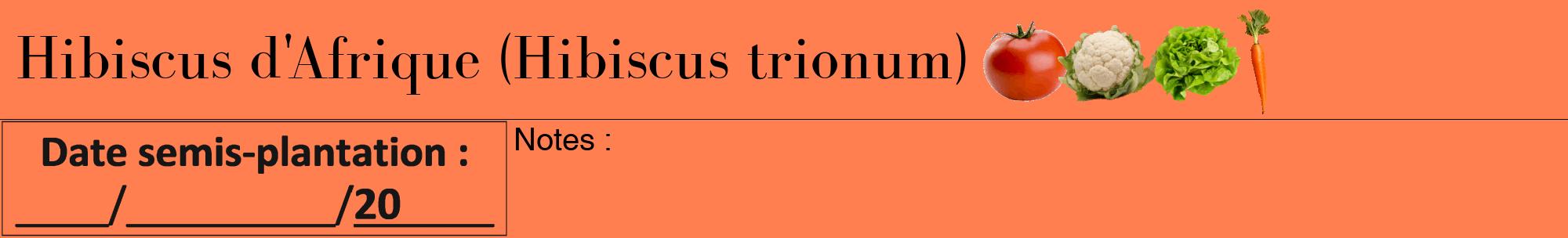 Étiquette de : Hibiscus trionum - format a - style noire24bod avec comestibilité simplifiée