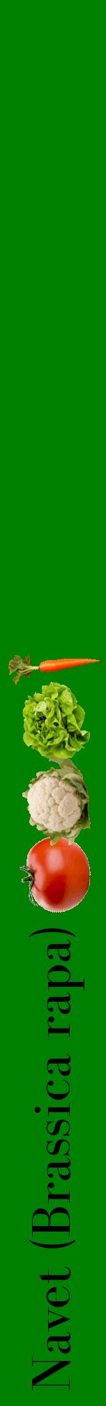 Étiquette de : Brassica rapa - format a - style noire9bod avec comestibilité simplifiée