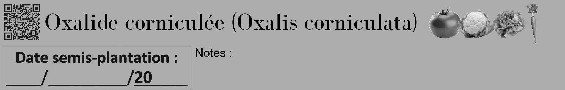 Étiquette de : Oxalis corniculata - format a - style noire22basiquebod avec qrcode et comestibilité simplifiée