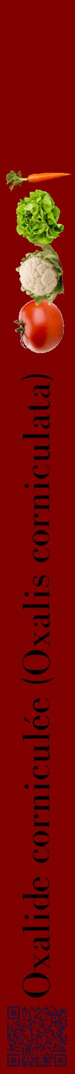 Étiquette de : Oxalis corniculata - format a - style noire29bod avec qrcode et comestibilité simplifiée