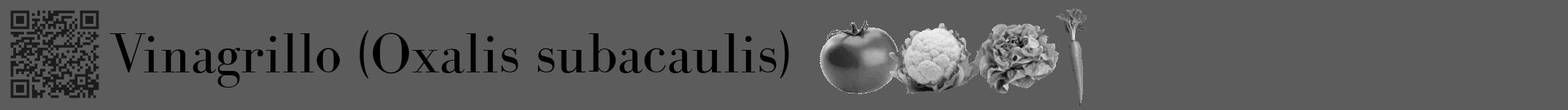 Étiquette de : Oxalis subacaulis - format a - style noire49bod avec qrcode et comestibilité simplifiée