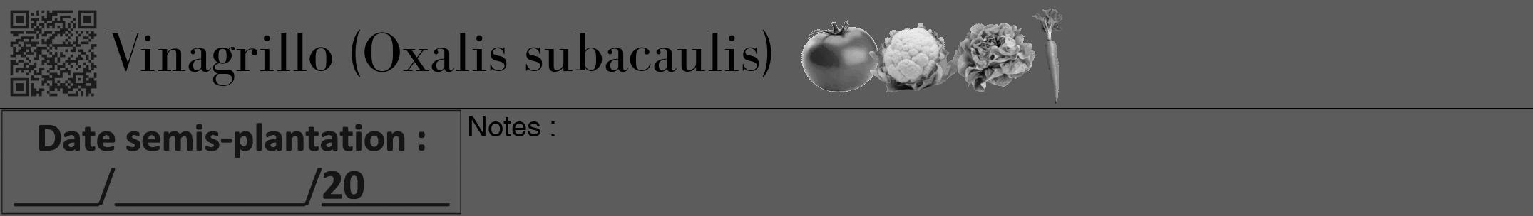 Étiquette de : Oxalis subacaulis - format a - style noire49bod avec qrcode et comestibilité simplifiée