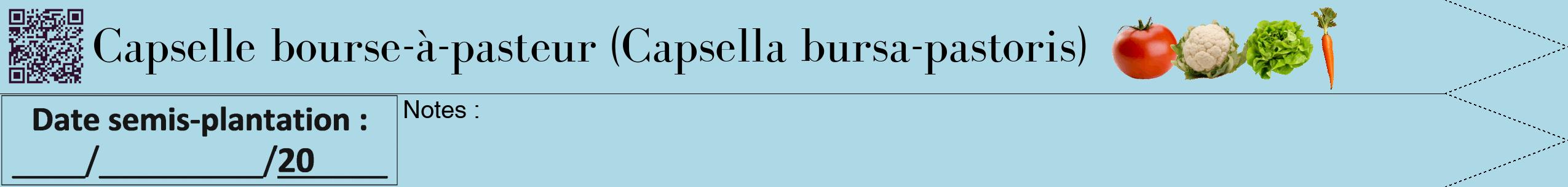 Étiquette de : Capsella bursa-pastoris - format b - style noire0bod avec qrcode et comestibilité simplifiée