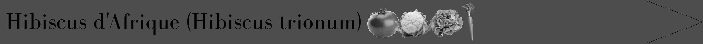 Étiquette de : Hibiscus trionum - format b - style noire28bod avec comestibilité simplifiée