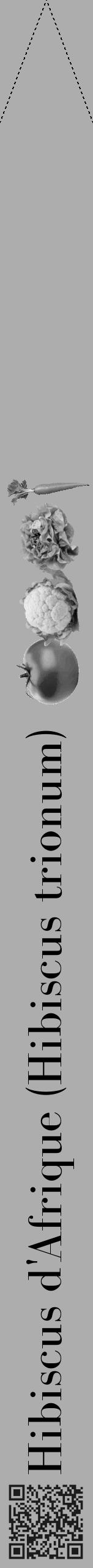 Étiquette de : Hibiscus trionum - format b - style noire22bod avec qrcode et comestibilité simplifiée - position verticale