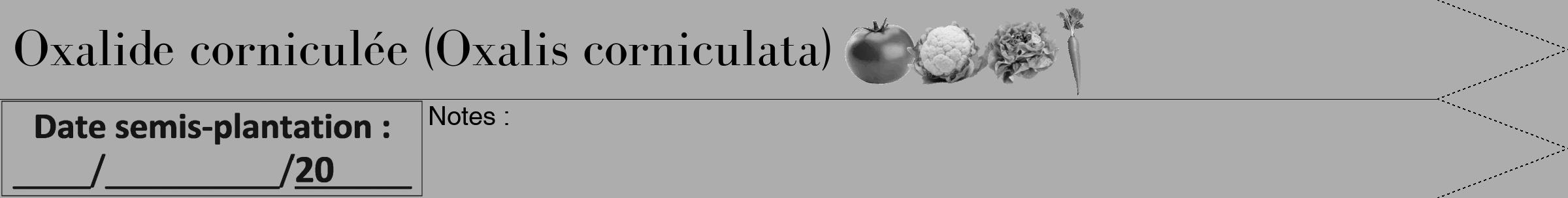 Étiquette de : Oxalis corniculata - format b - style noire22simplebod avec comestibilité simplifiée