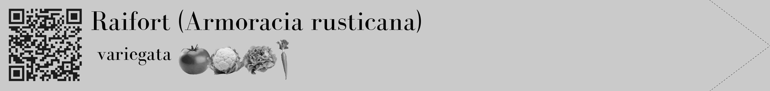 Étiquette de : Armoracia rusticana variegata - format c - style noire21_simple_simplebod avec qrcode et comestibilité simplifiée