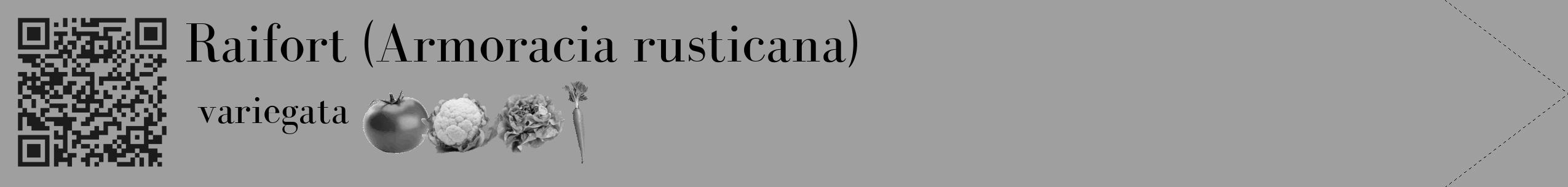 Étiquette de : Armoracia rusticana variegata - format c - style noire24_simple_simplebod avec qrcode et comestibilité simplifiée