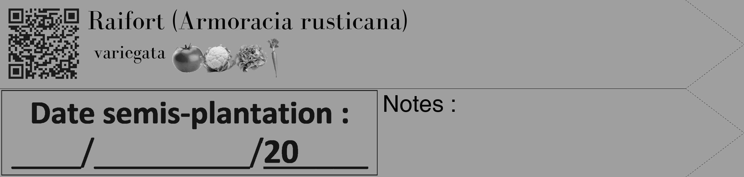 Étiquette de : Armoracia rusticana variegata - format c - style noire24_simple_simplebod avec qrcode et comestibilité simplifiée