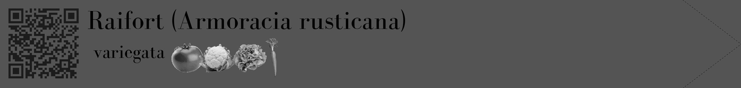 Étiquette de : Armoracia rusticana variegata - format c - style noire36_simple_simplebod avec qrcode et comestibilité simplifiée