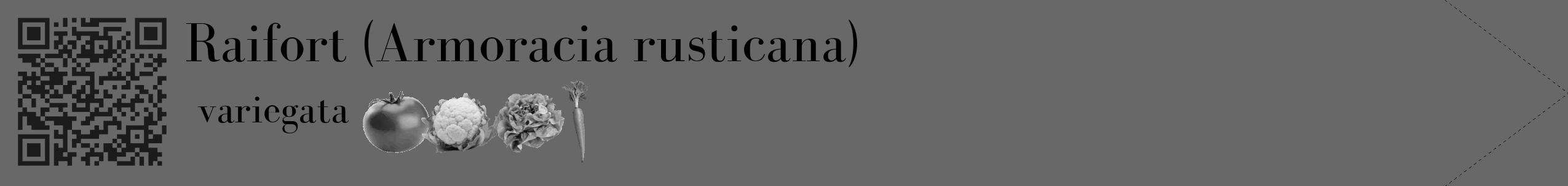 Étiquette de : Armoracia rusticana variegata - format c - style noire6_simple_simplebod avec qrcode et comestibilité simplifiée