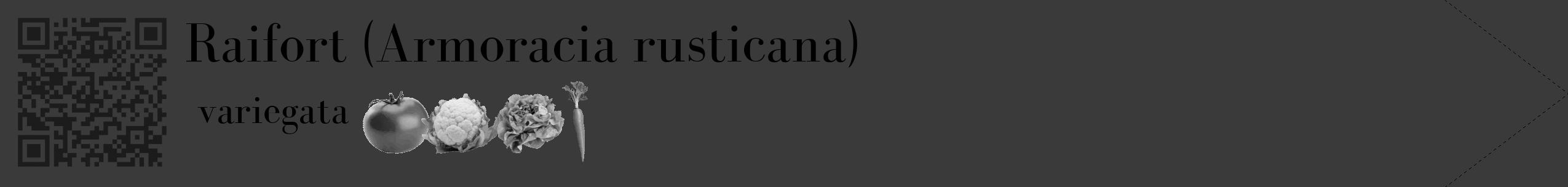 Étiquette de : Armoracia rusticana variegata - format c - style noire8_simple_simplebod avec qrcode et comestibilité simplifiée