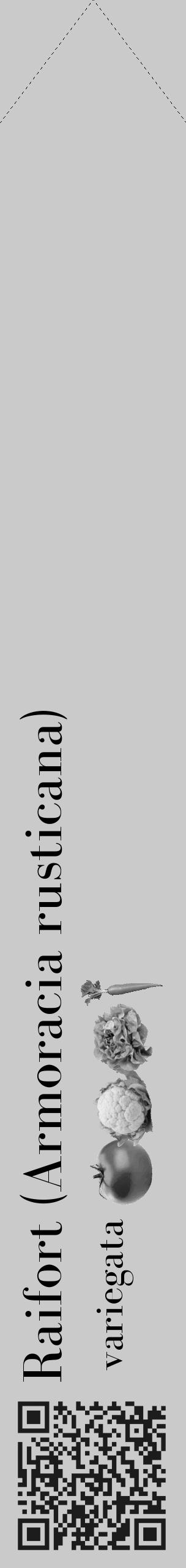 Étiquette de : Armoracia rusticana variegata - format c - style noire21_simple_simplebod avec qrcode et comestibilité simplifiée - position verticale