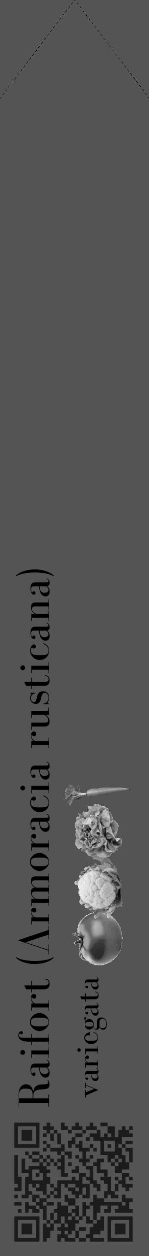 Étiquette de : Armoracia rusticana variegata - format c - style noire36_simple_simplebod avec qrcode et comestibilité simplifiée - position verticale