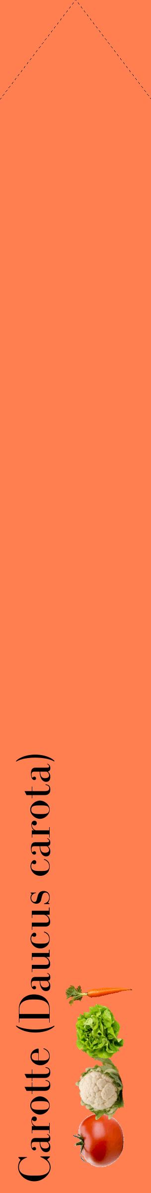 Étiquette de : Daucus carota - format c - style noire24_simplebod avec comestibilité simplifiée