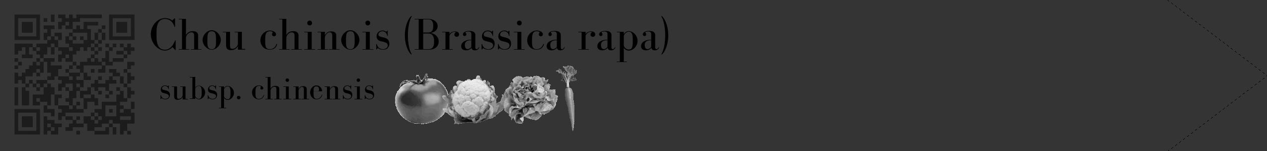 Étiquette de : Brassica rapa subsp. chinensis - format c - style noire46_simple_simplebod avec qrcode et comestibilité simplifiée