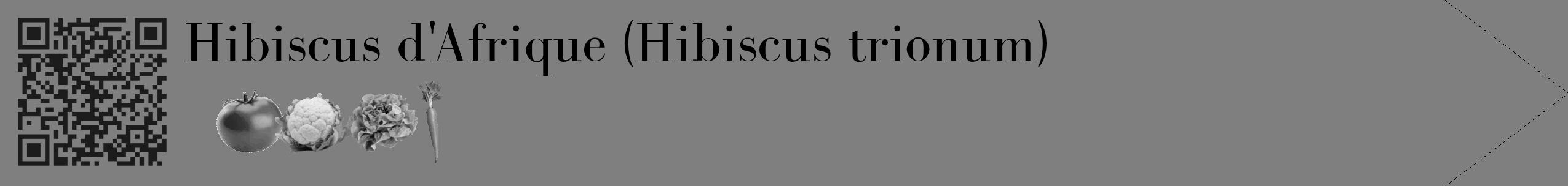 Étiquette de : Hibiscus trionum - format c - style noire31_simple_simplebod avec qrcode et comestibilité simplifiée