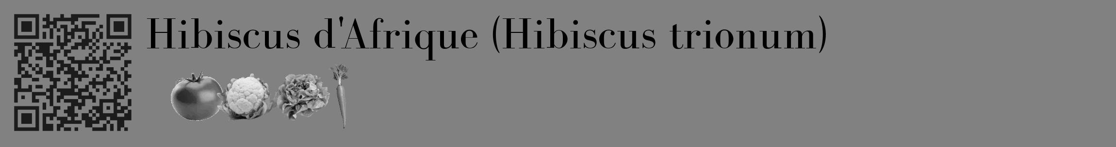 Étiquette de : Hibiscus trionum - format c - style noire50_basique_basiquebod avec qrcode et comestibilité simplifiée