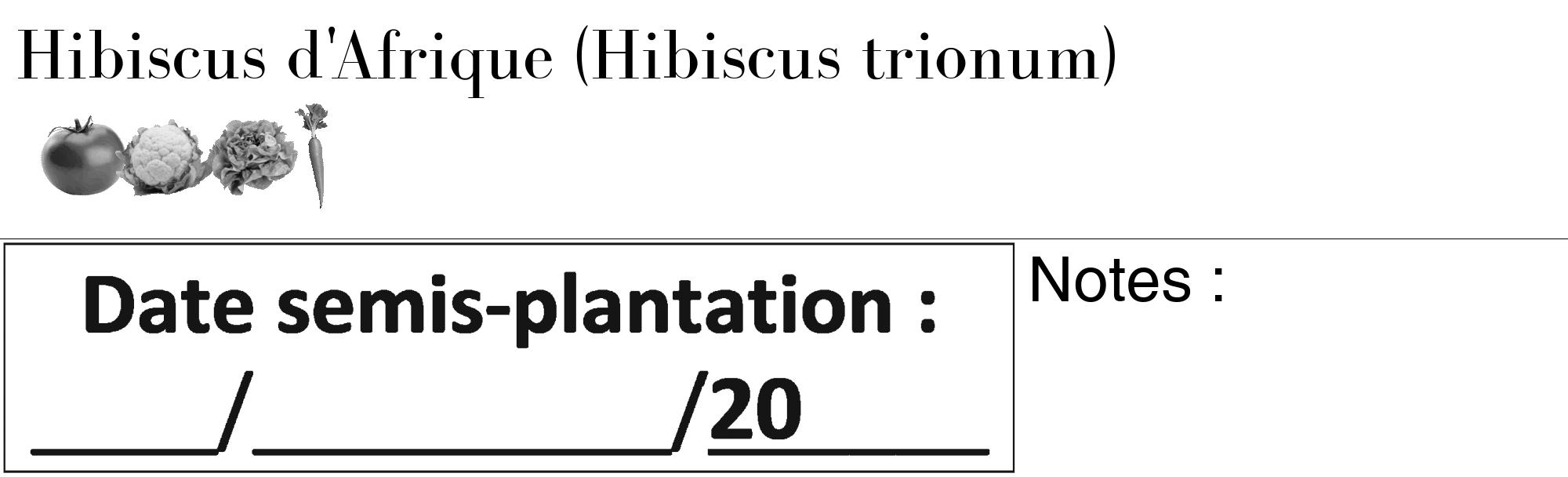 Étiquette de : Hibiscus trionum - format c - style noire60_basique_basiquebod avec comestibilité simplifiée