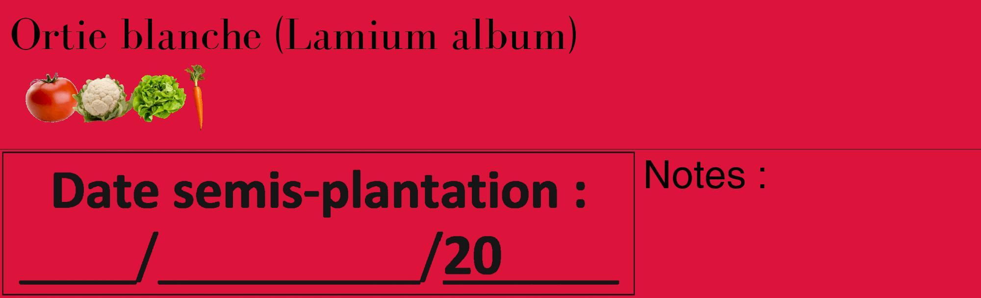Étiquette de : Lamium album - format c - style noire36_basique_basiquebod avec comestibilité simplifiée