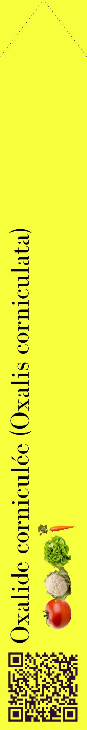 Étiquette de : Oxalis corniculata - format c - style noire18_simplebod avec qrcode et comestibilité simplifiée