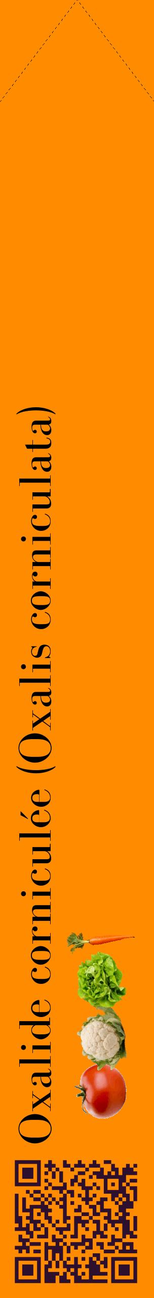 Étiquette de : Oxalis corniculata - format c - style noire23_simplebod avec qrcode et comestibilité simplifiée
