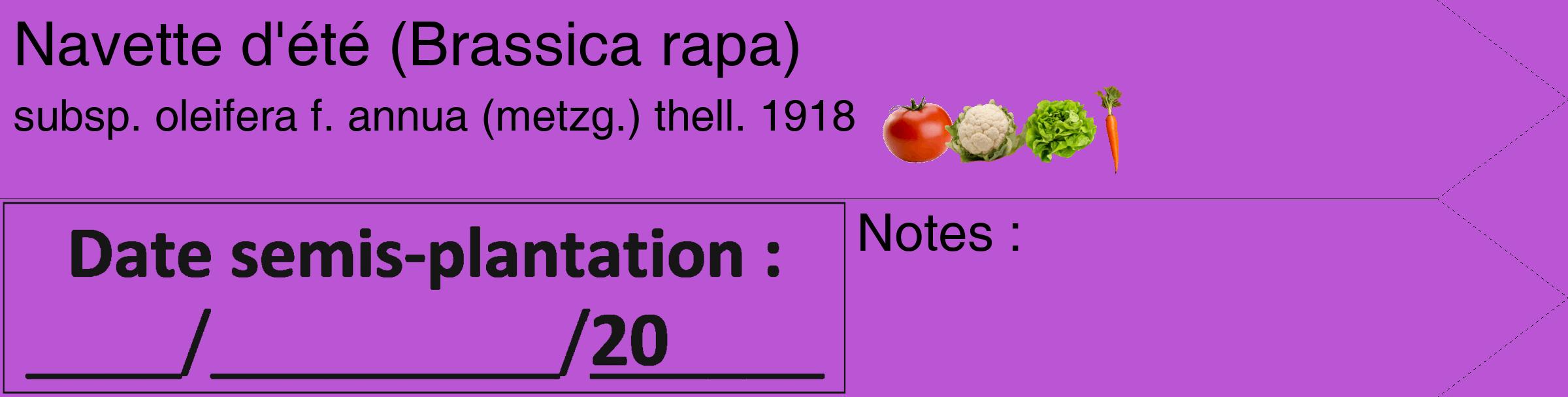 Étiquette de : Brassica rapa subsp. oleifera f. annua (metzg.) thell. 1918 - format c - style noire50_simple_simplehel avec comestibilité simplifiée