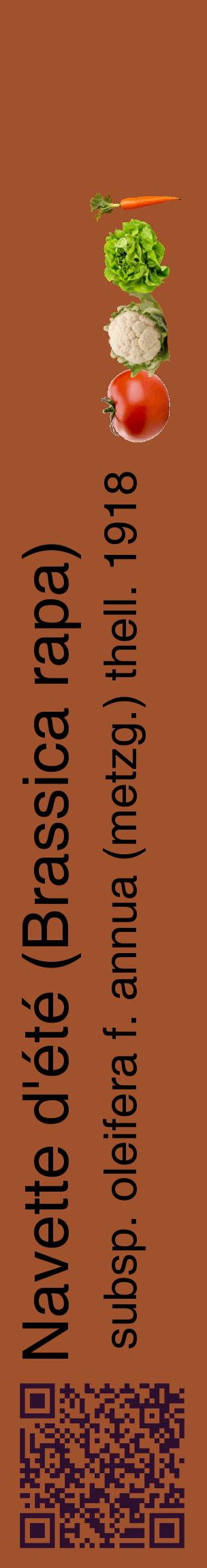 Étiquette de : Brassica rapa subsp. oleifera f. annua (metzg.) thell. 1918 - format c - style noire32_basiquehel avec qrcode et comestibilité simplifiée