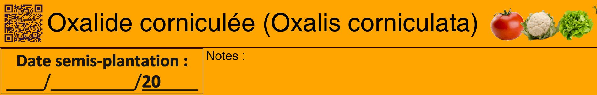 Étiquette de : Oxalis corniculata - format a - style noire22basiquehel avec qrcode et comestibilité simplifiée
